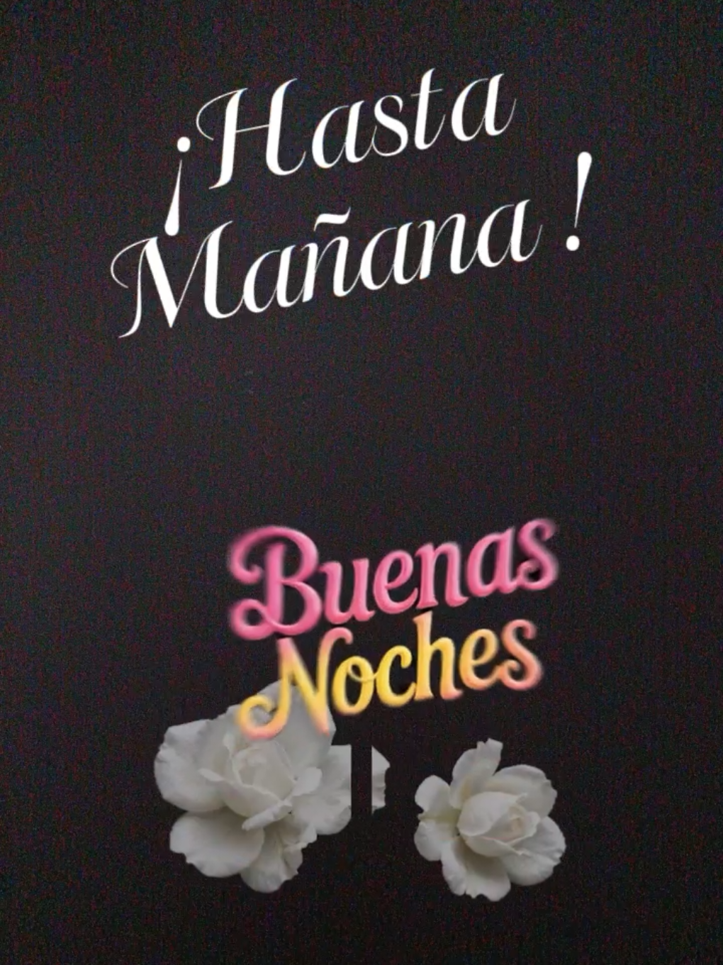 @Arely Mendoza Frases bonitas