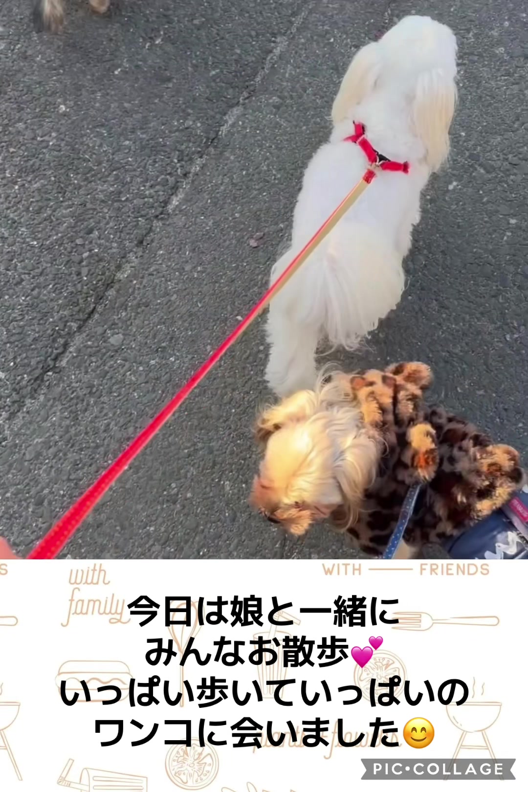 @ビビまるトンチャー