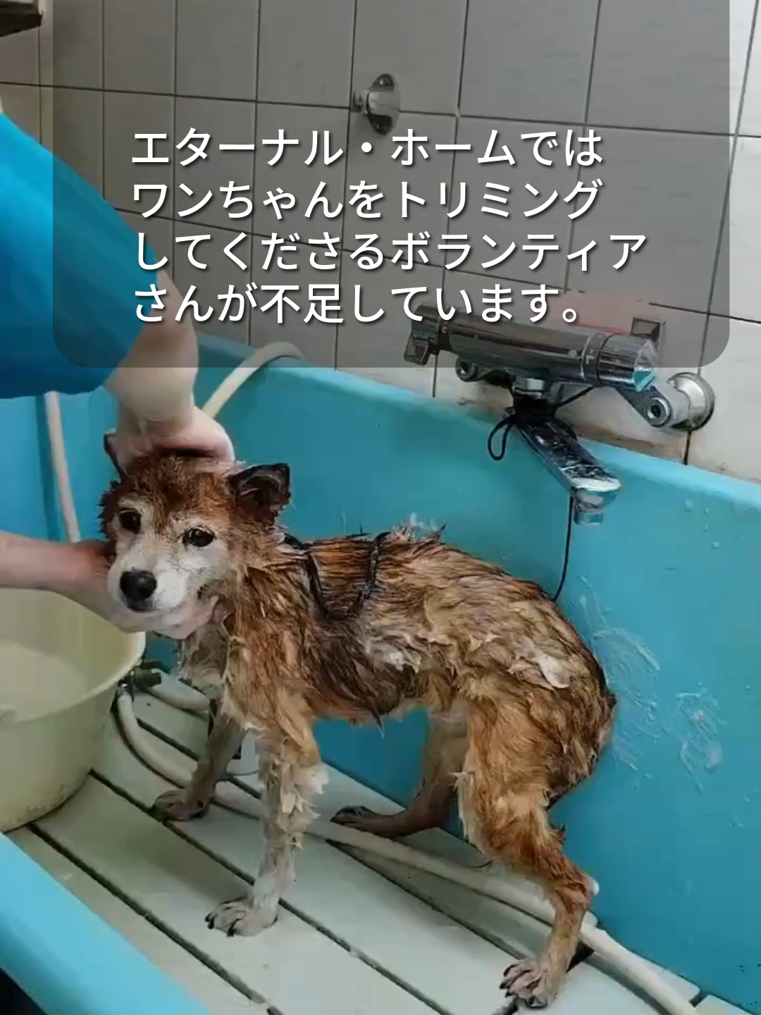 @NPO法人エターナル・ホーム