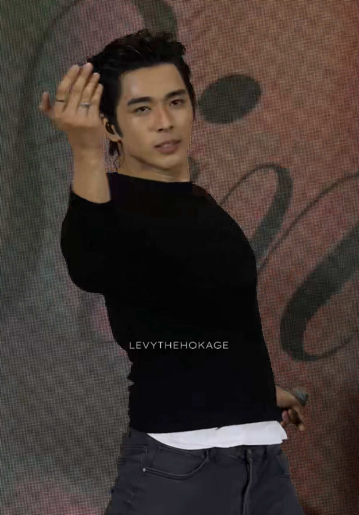 @levythehokage