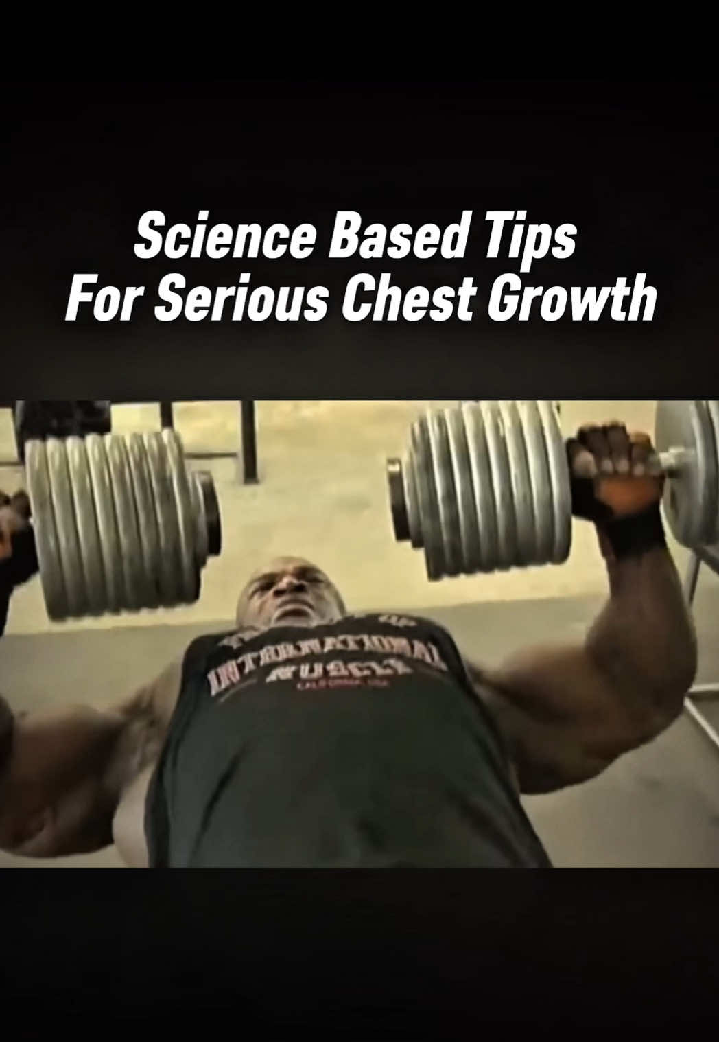 @theschoolofgains