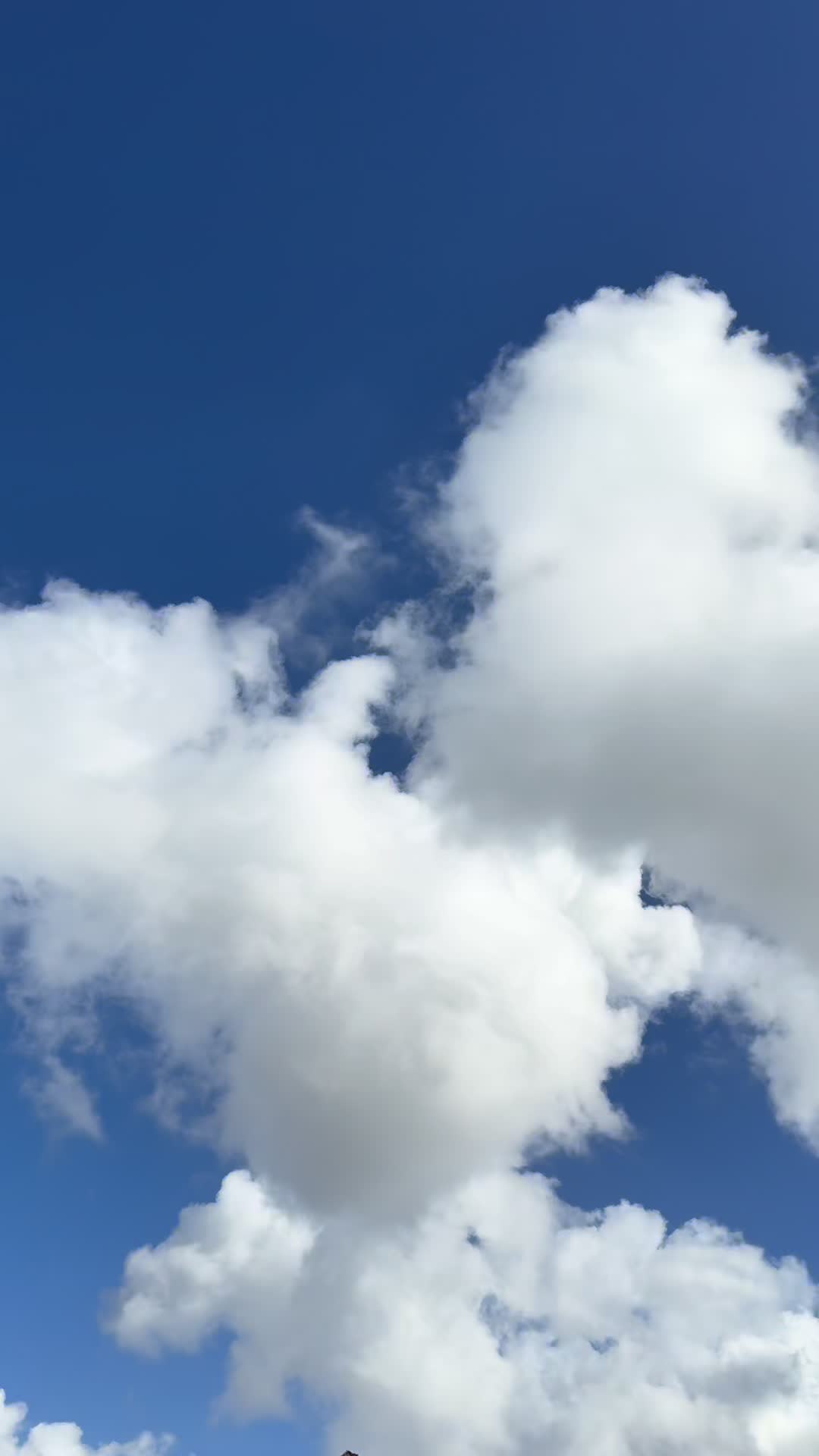 @nature is beautiful