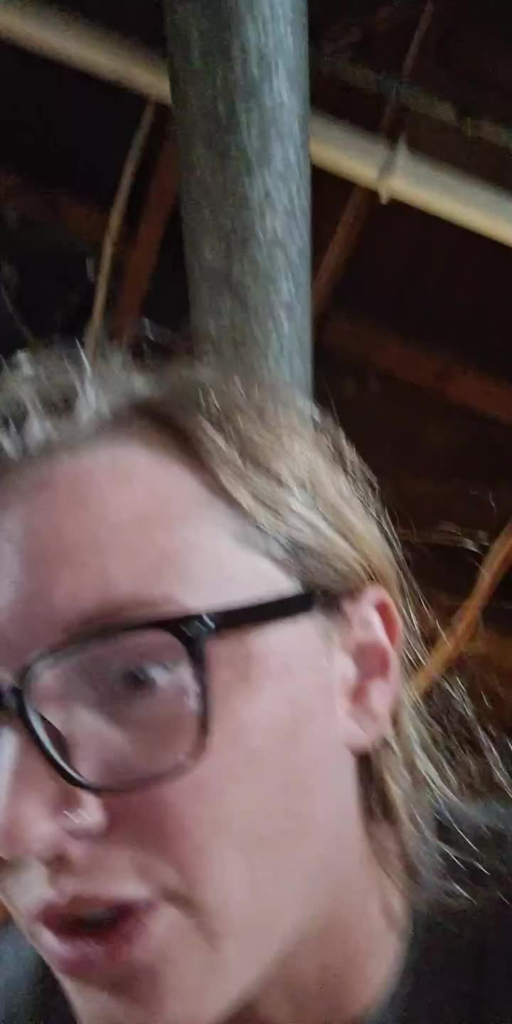 @🩷 J 💙