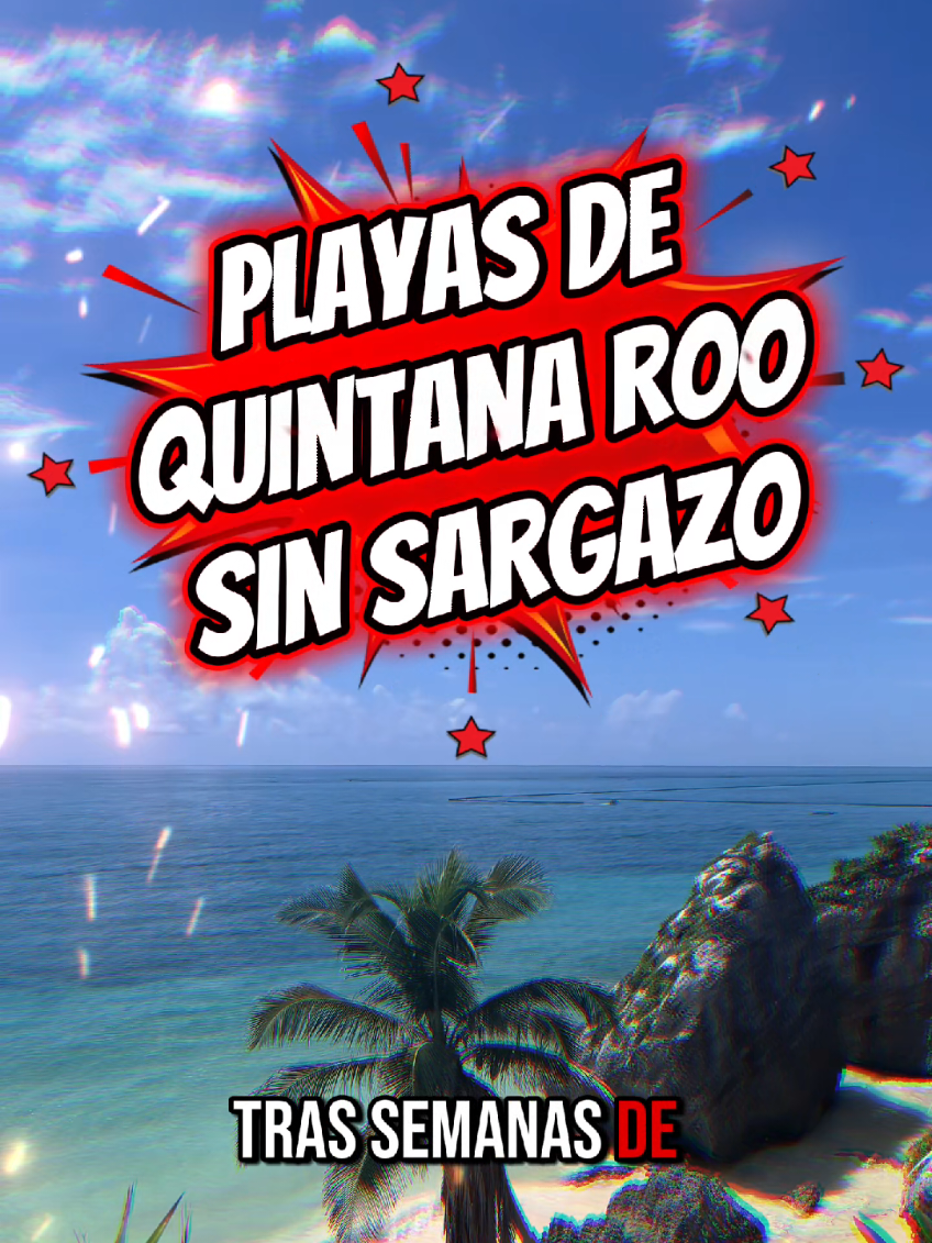 @En15TeloCuento_QROO