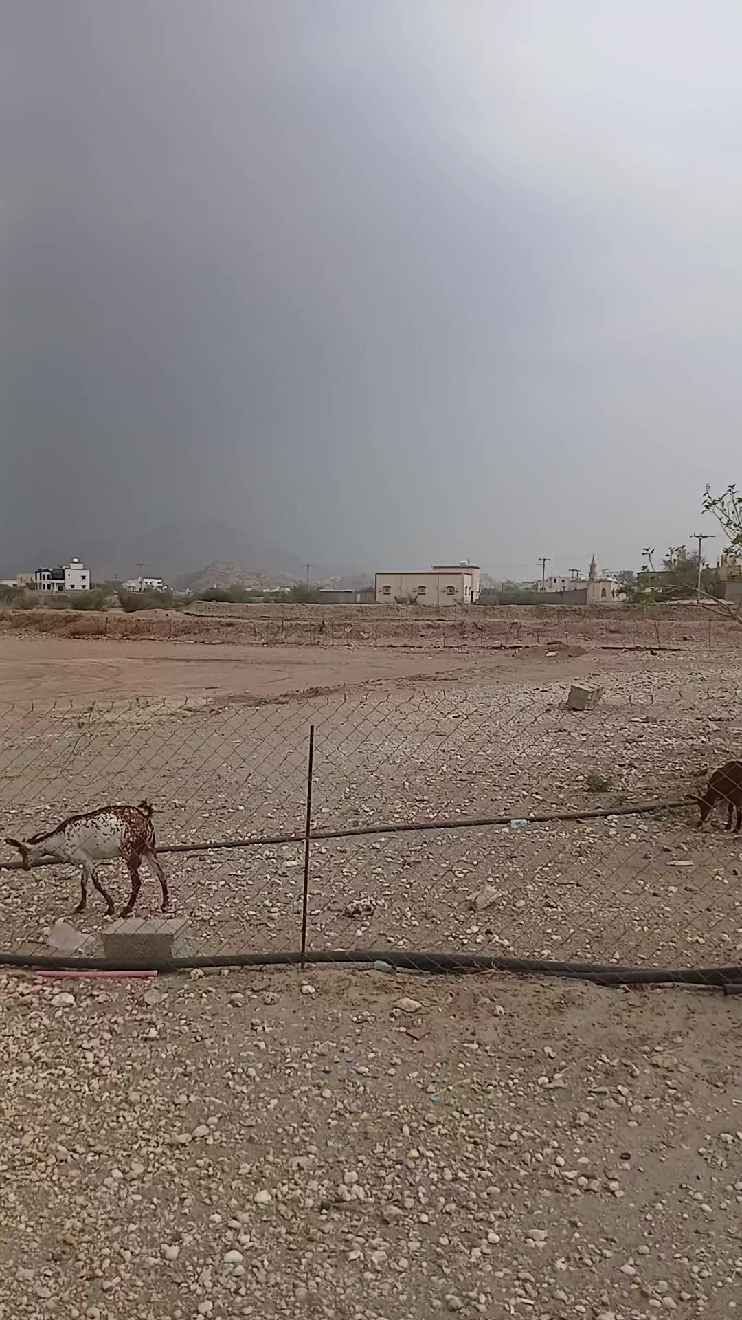 @إحساس رامي