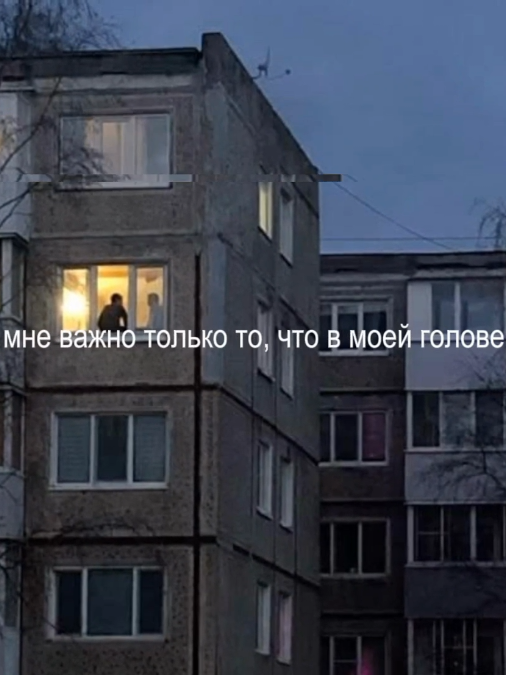 @алинверк