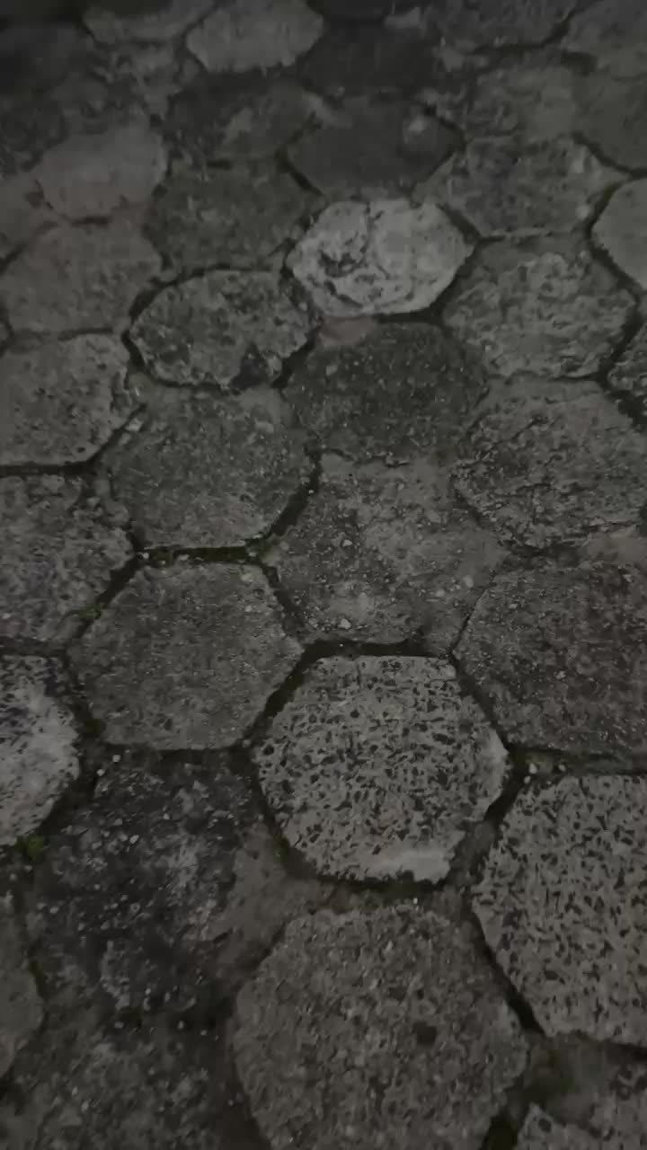 @🇦🇷