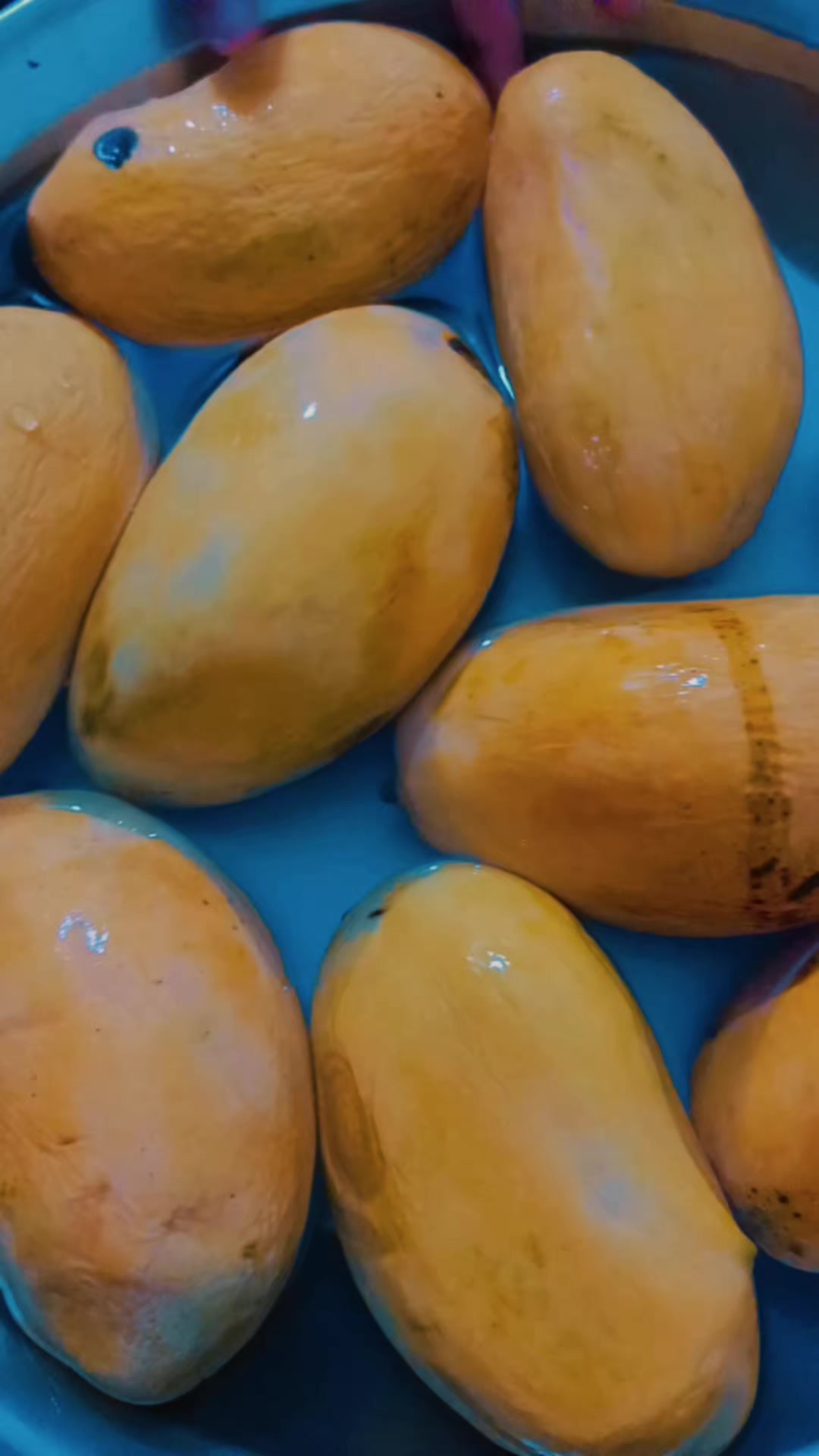 @𝑆𝐴𝐼𝑅𝐴♥𝑹𝑨𝑱𝑷𝑼𝑻