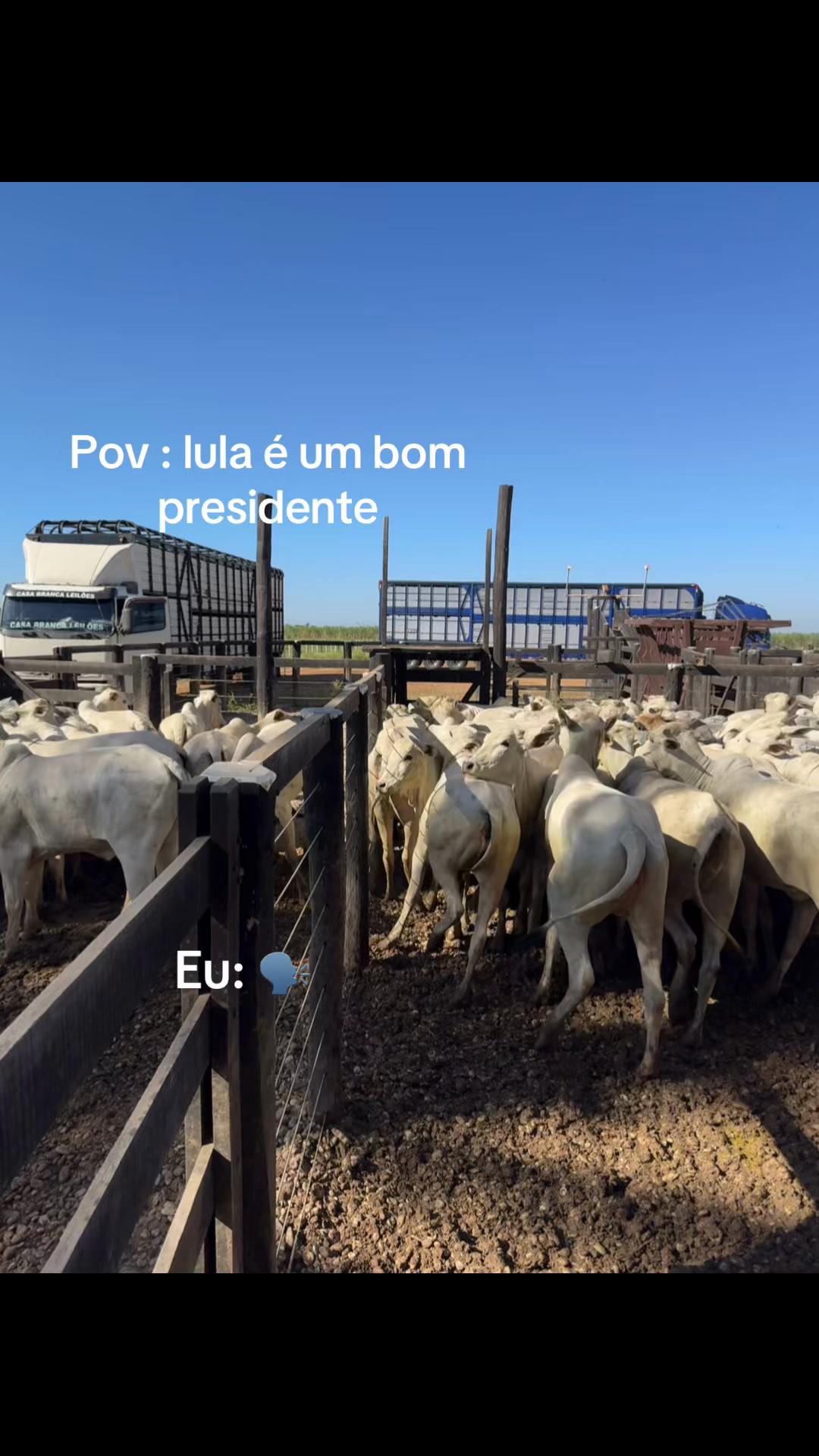 @Berdinazzi 🇧🇷