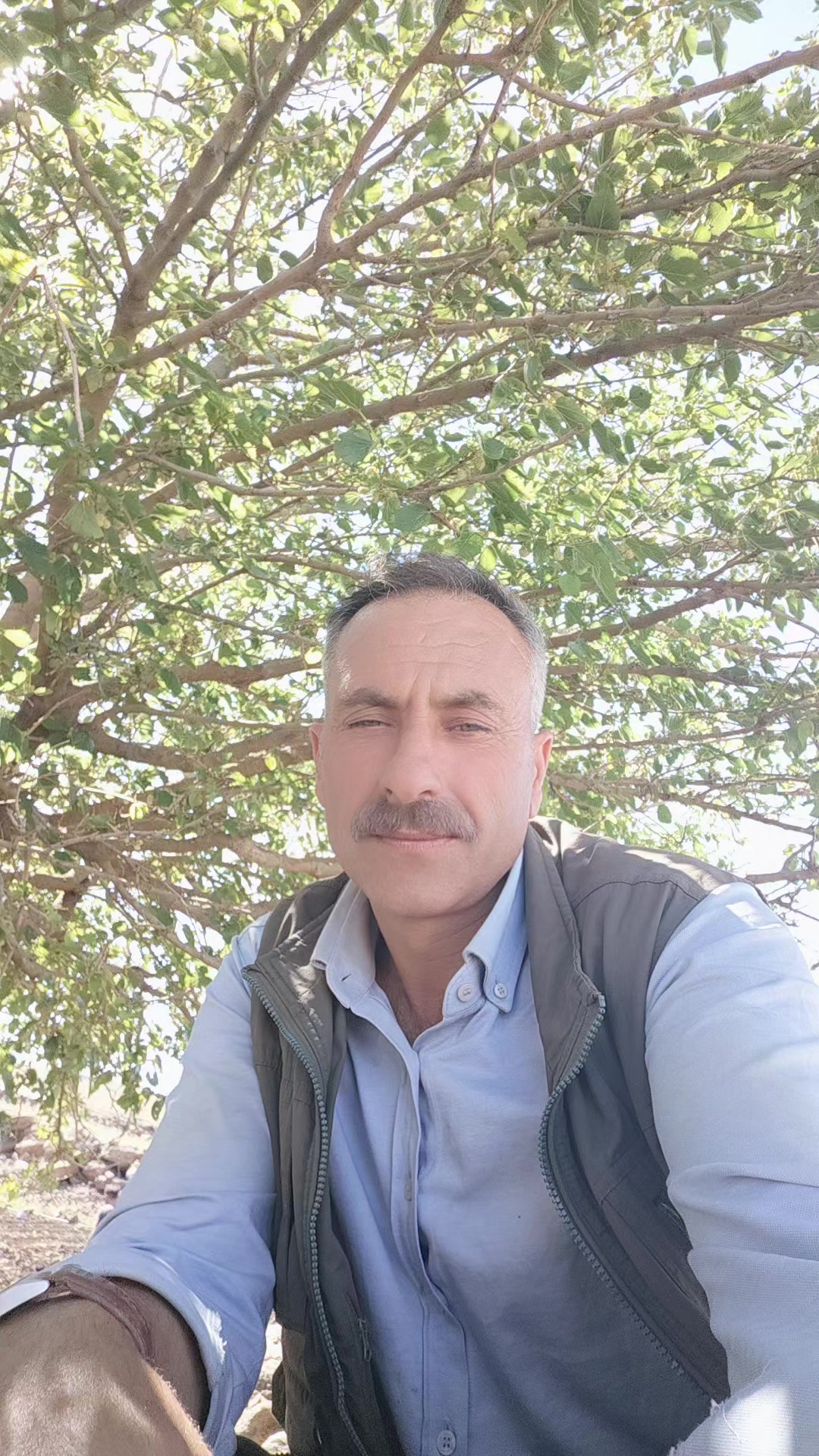 @HALİL KAYA