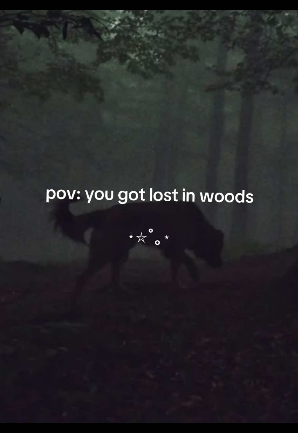 @𓆝 𓆟 𓆞 𓆝 𓆟 вєвє