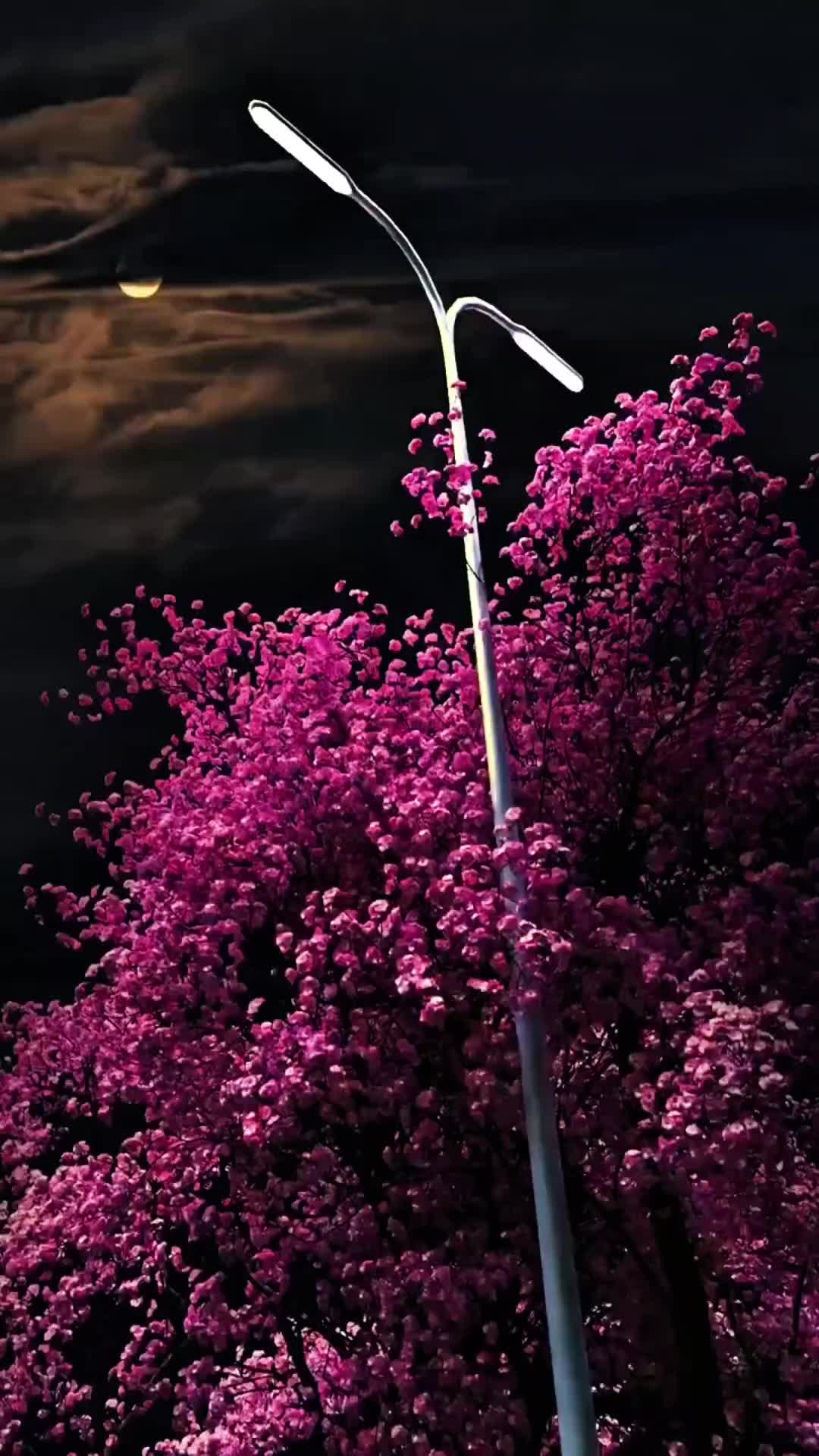 @★彡[ᴠɪʙɪɴɢᴡɪᴛʜ_ᴡᴀꜱɪꜰꜱʜᴀʜᴢᴀᴅ]彡★