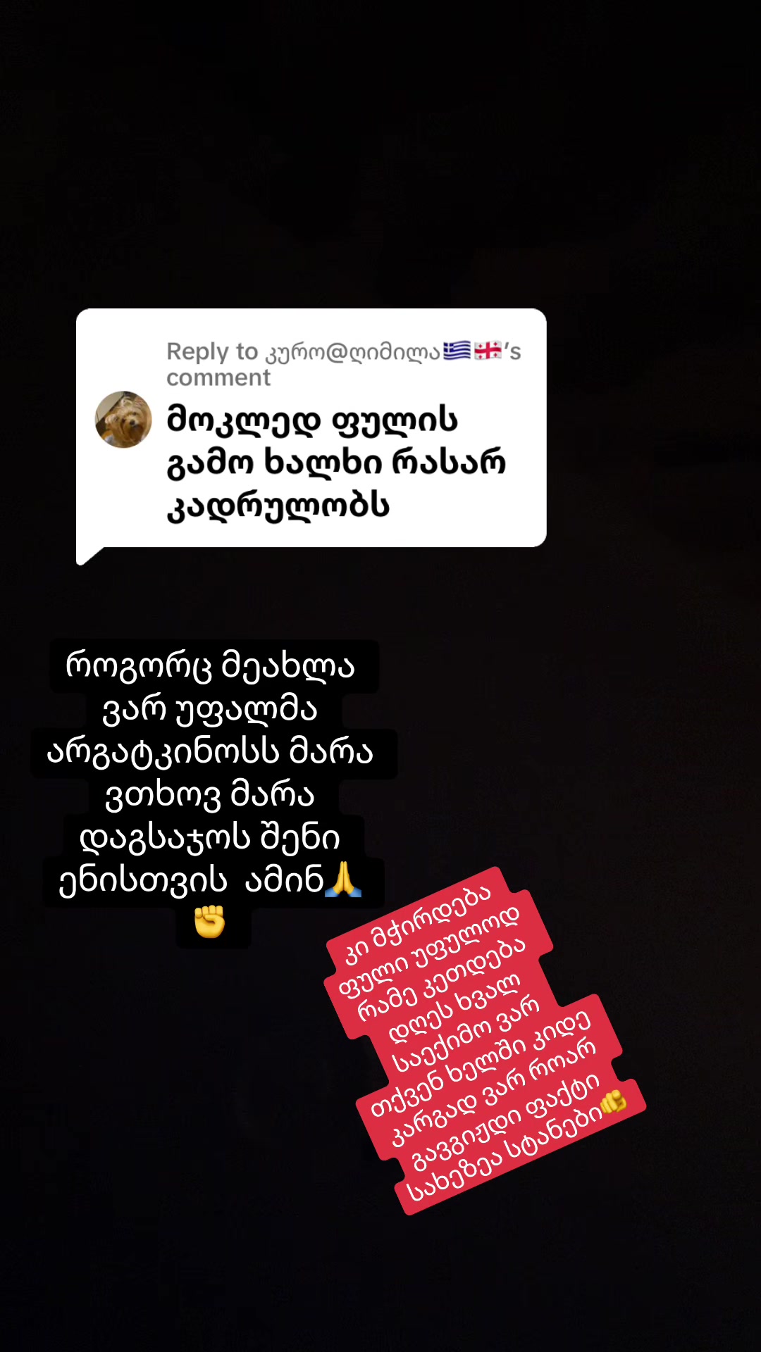 @๐ถแกแฎแแ.แแแแแแแแแแแ๐ถ