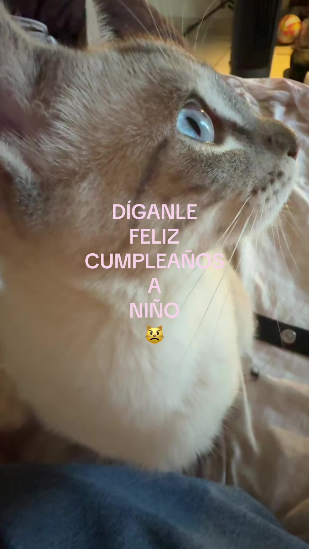 @nini ᶻ 𝗓 𐰁