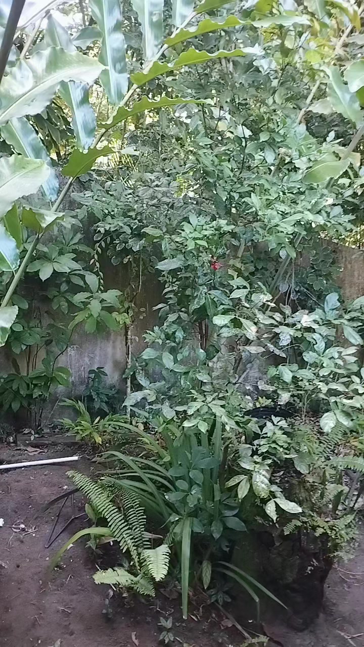 @user76210427259