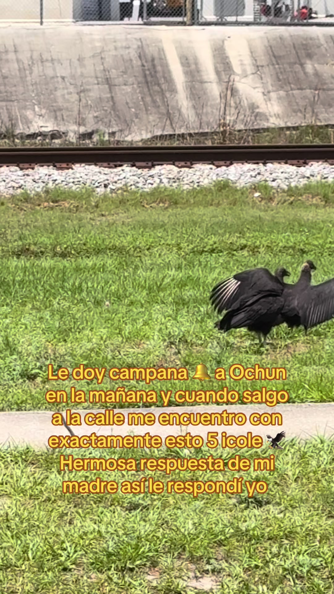 @Juan Robert Obba Oriate
