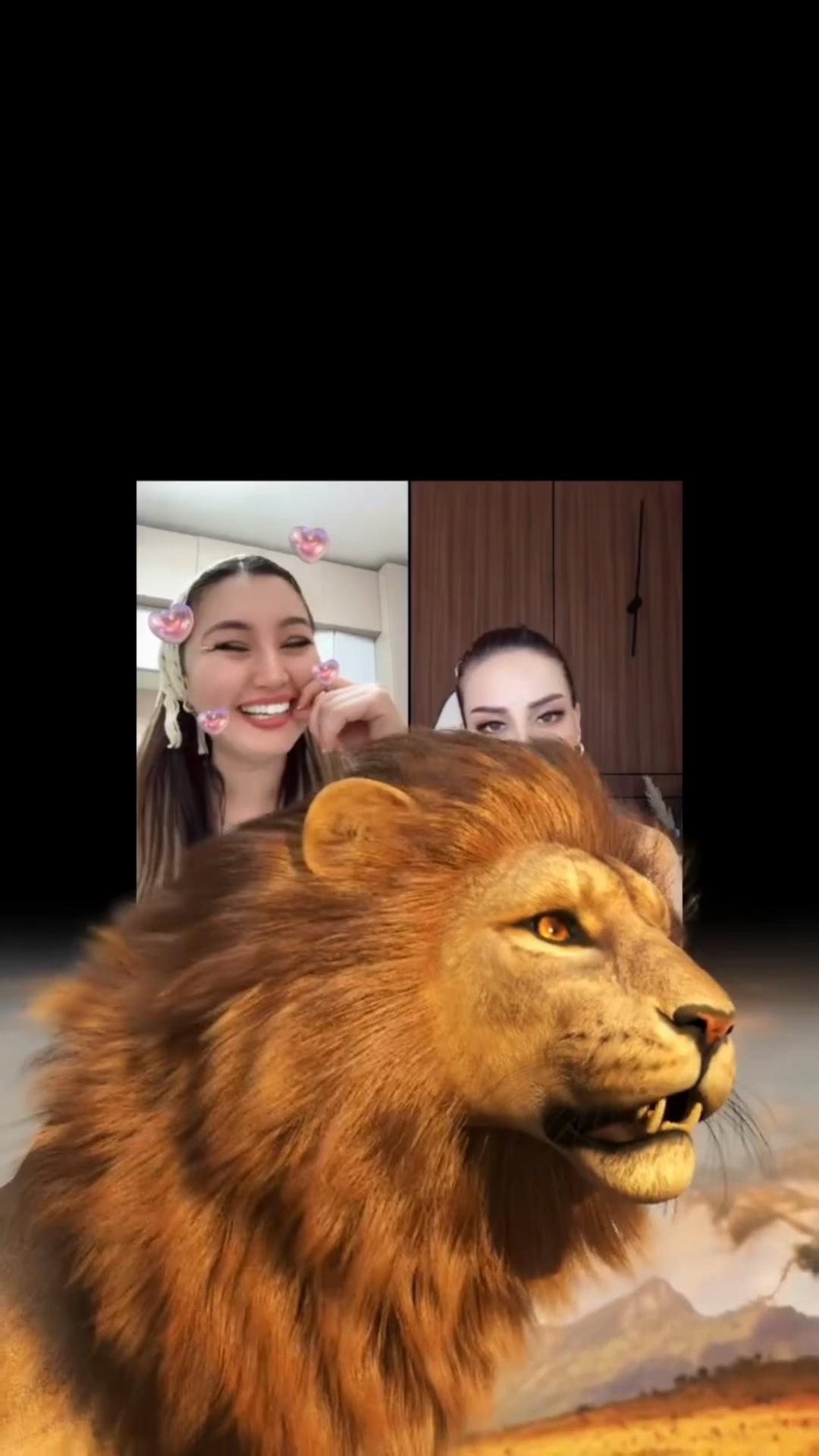 @Uzbechonok