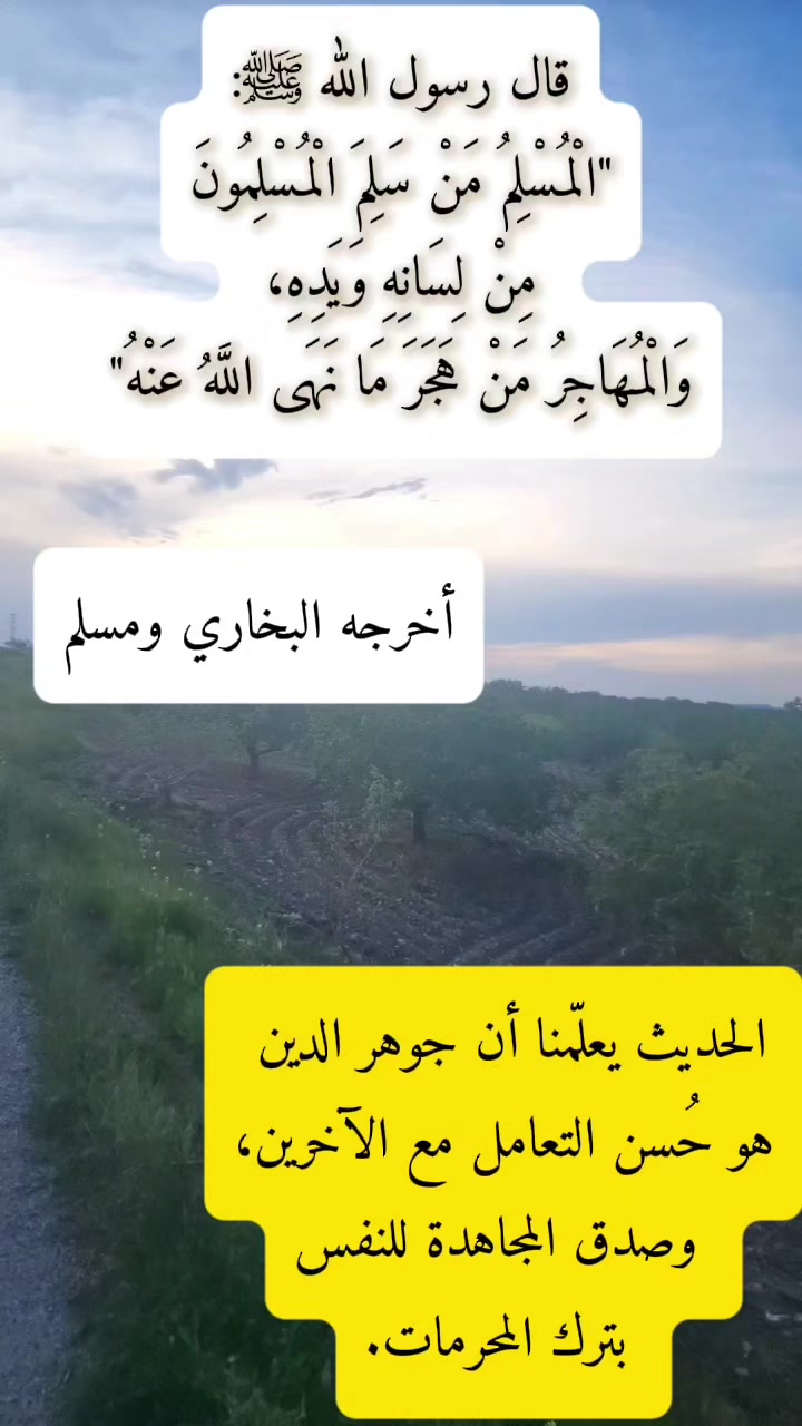 @مشكاة