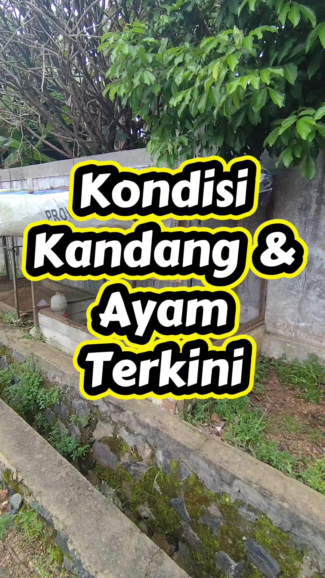 @Prasetya