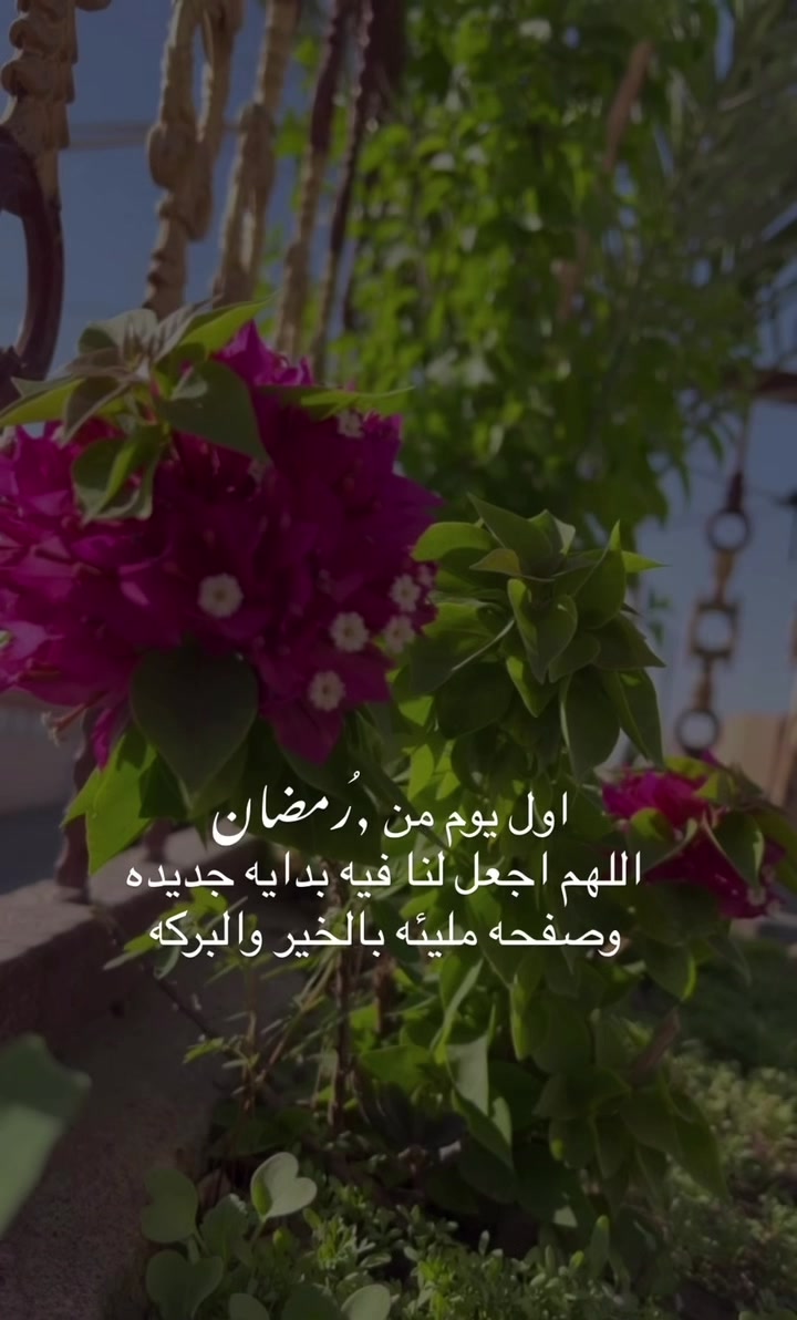 @لحظة الأمل 🫀🤍