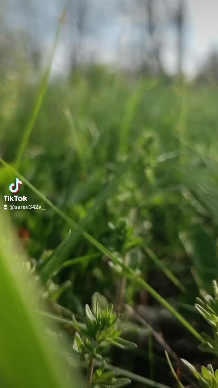 @Виктория