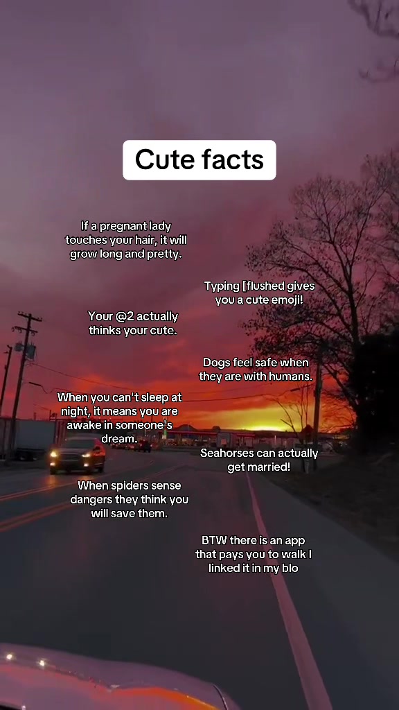 @Ceocandy