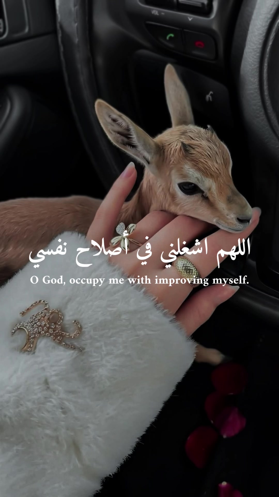 @﮼غزايل🤎☕️
