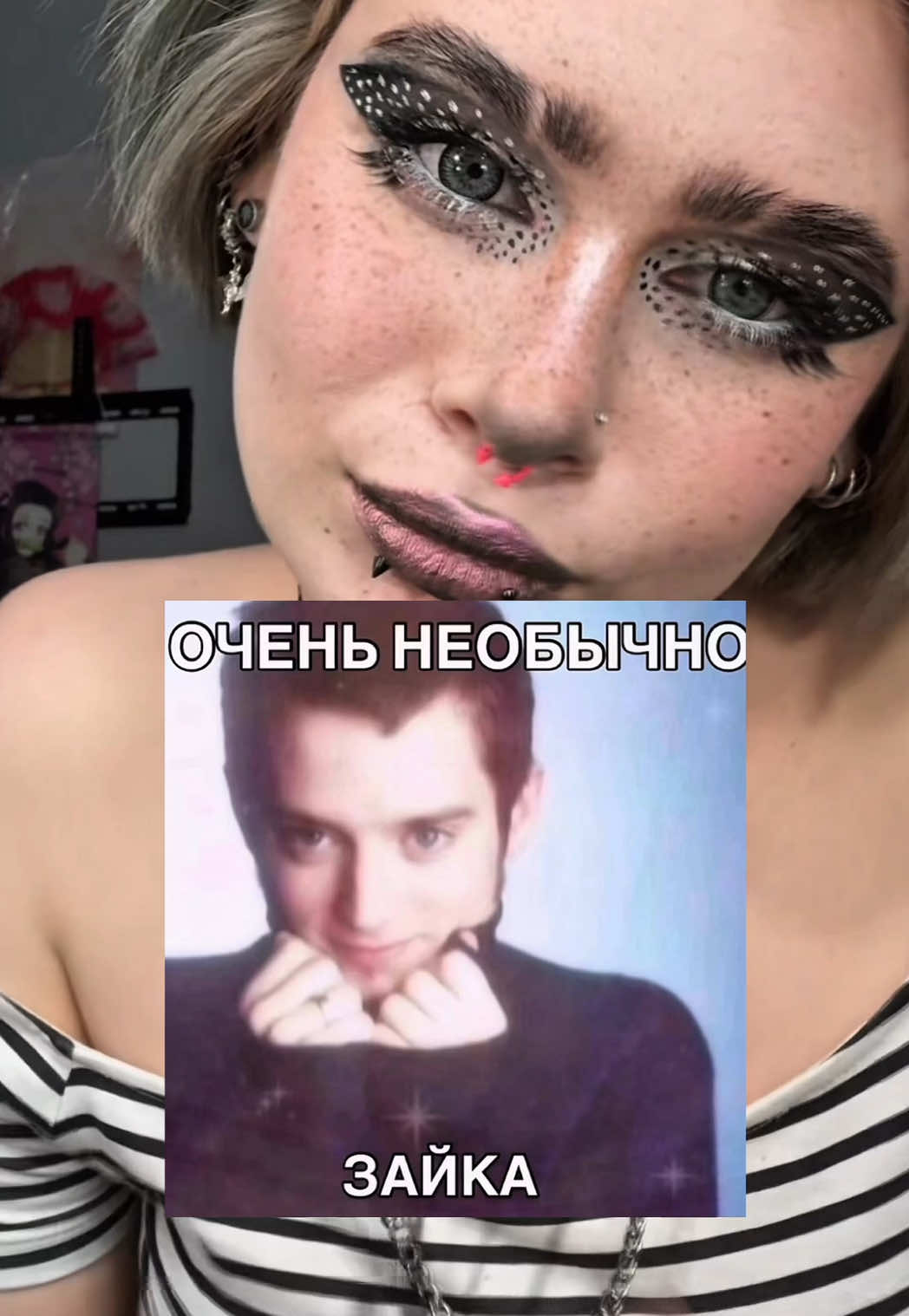 @тгк : кастетка 🦇