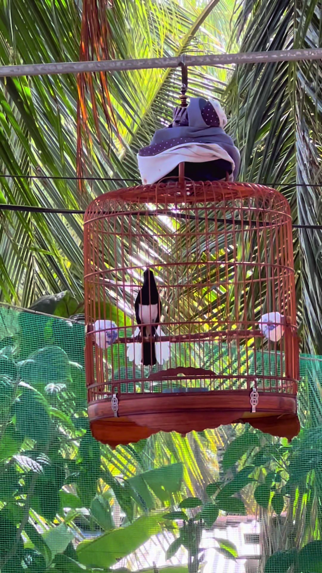@Kiệt Nguyễn