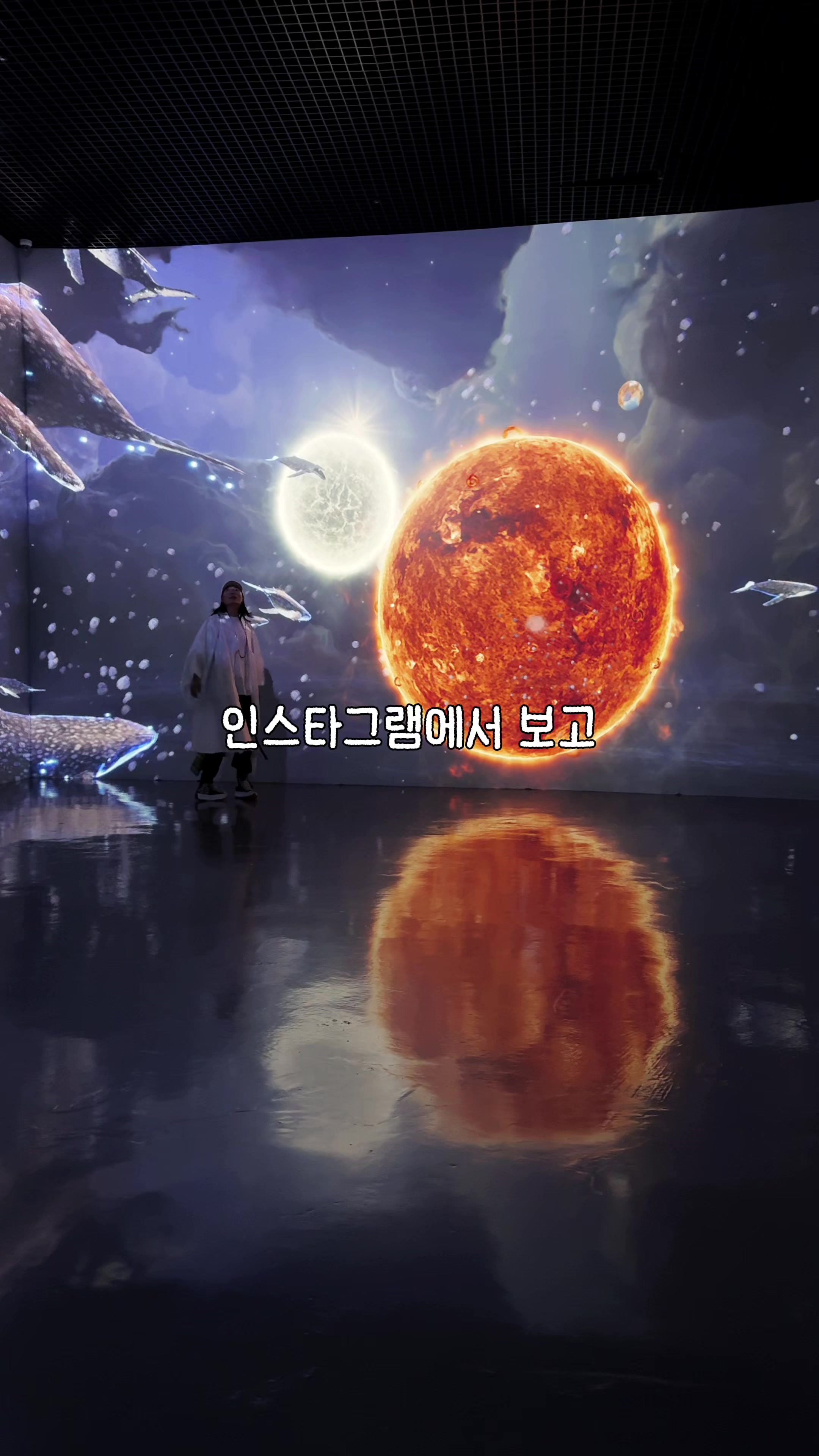 @traveler_jin
