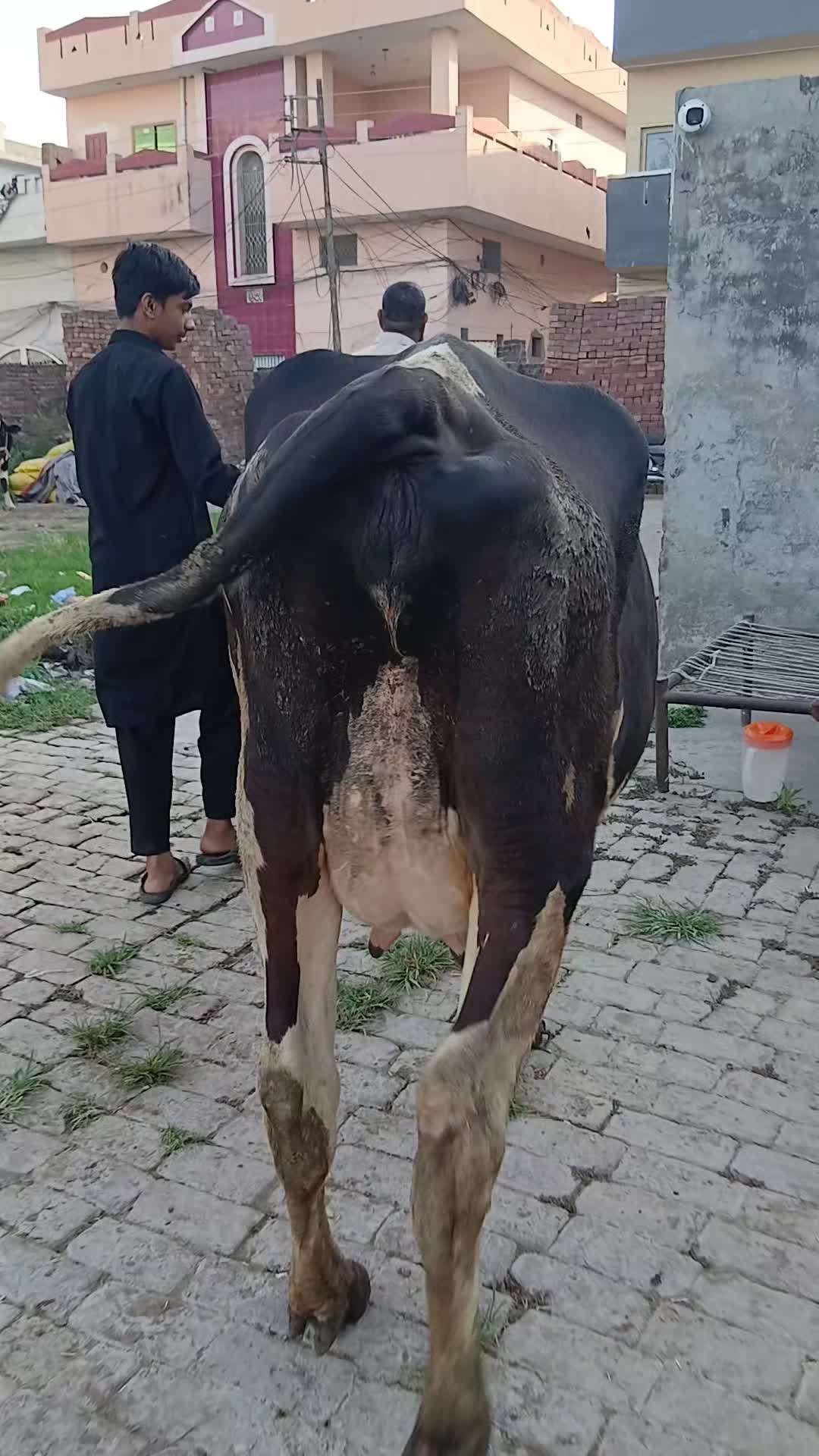 @Farming and Business Ideas