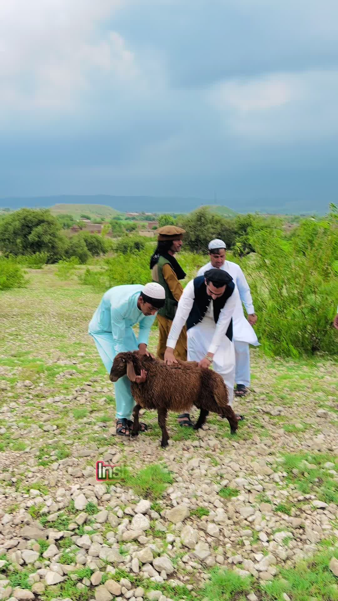 @Yaqoob🦋ALNoor Group of Travel