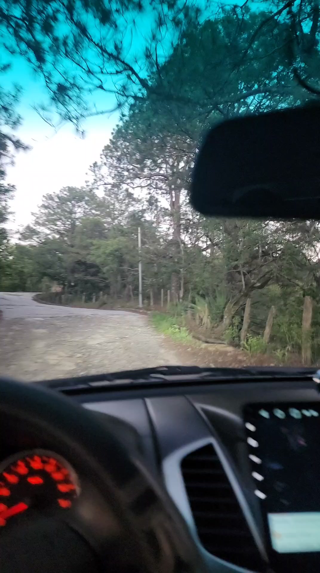 @Elíseo Rodríguez🐎