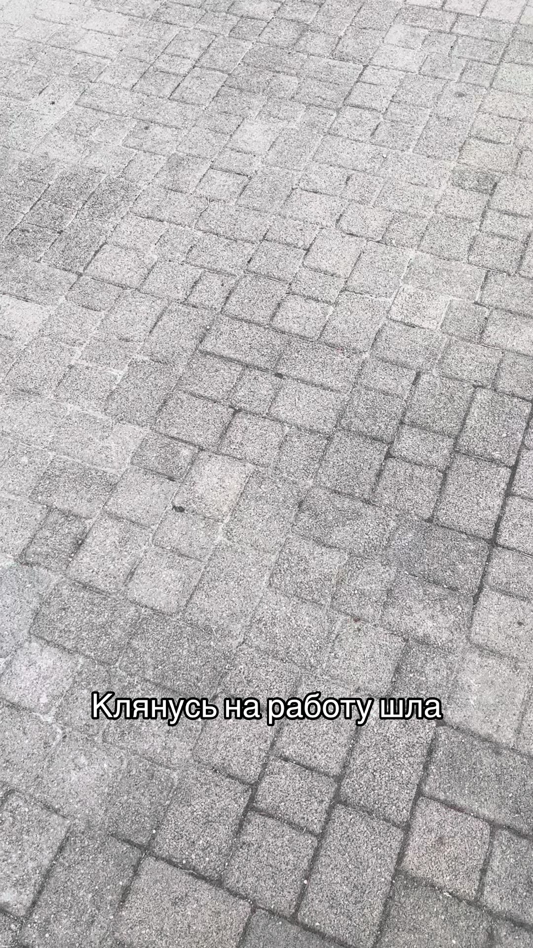 @Анастасия я