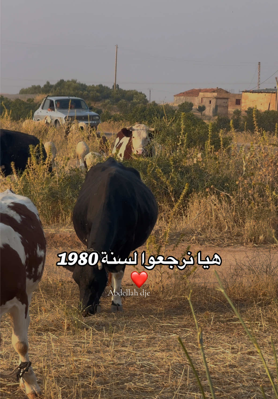 @Abdellah Filmmaker 📸🎥
