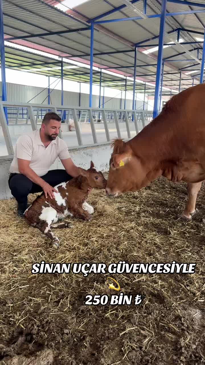 @CELEP SİNAN UÇAR