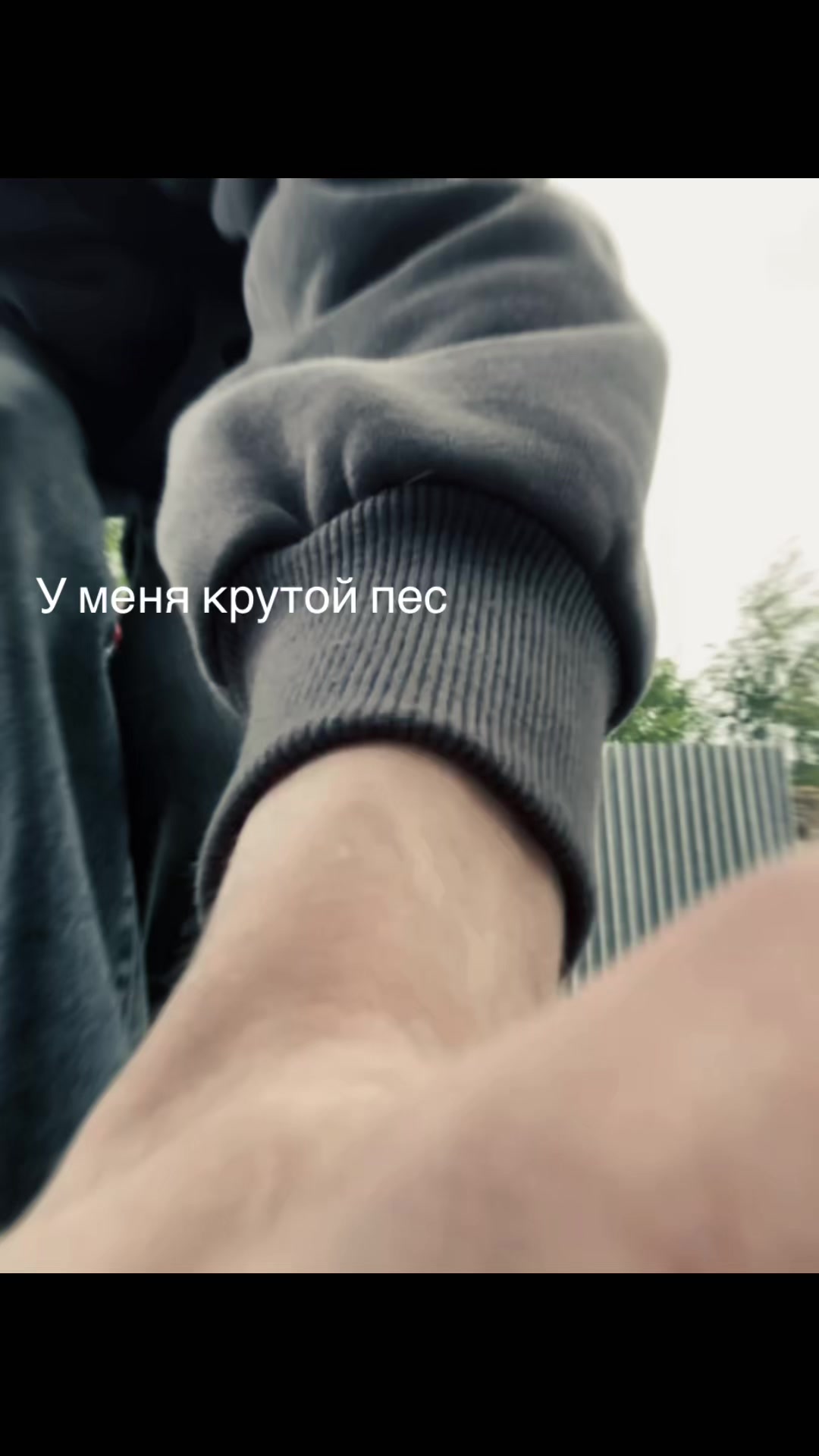 @crsdsmr