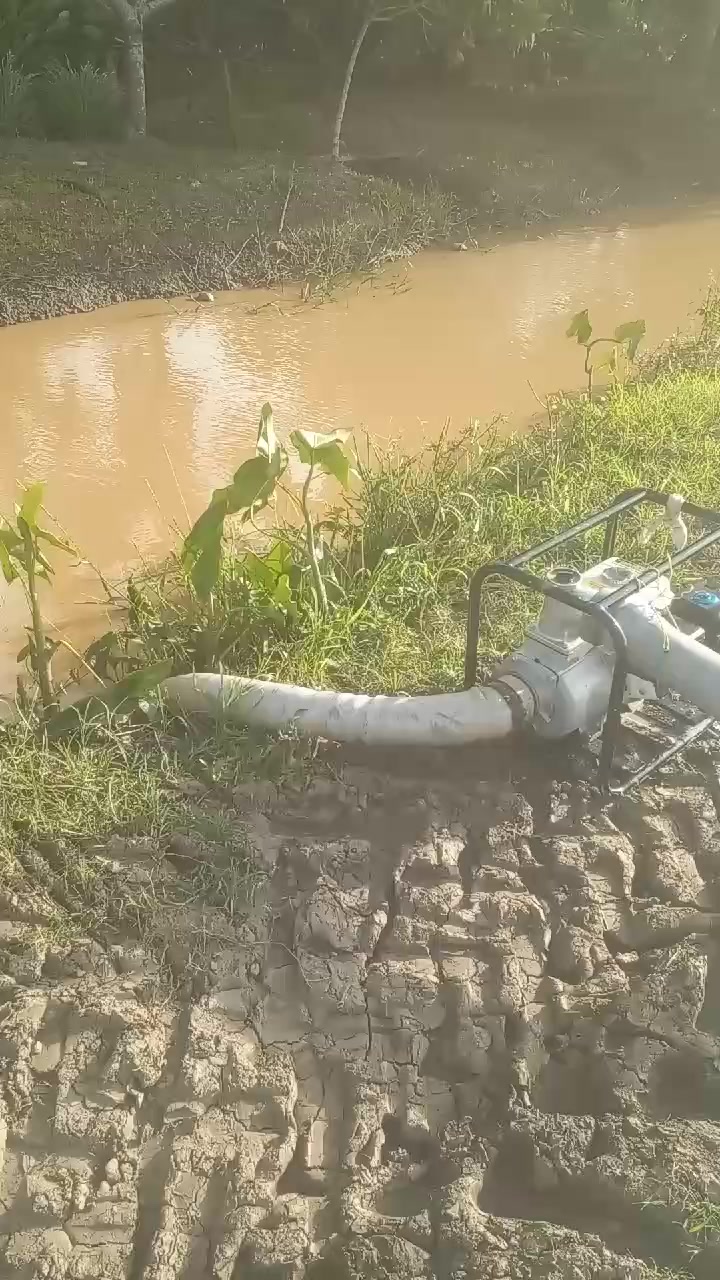 @🇸🇷🇸🇷🇸🇷🇸🇷