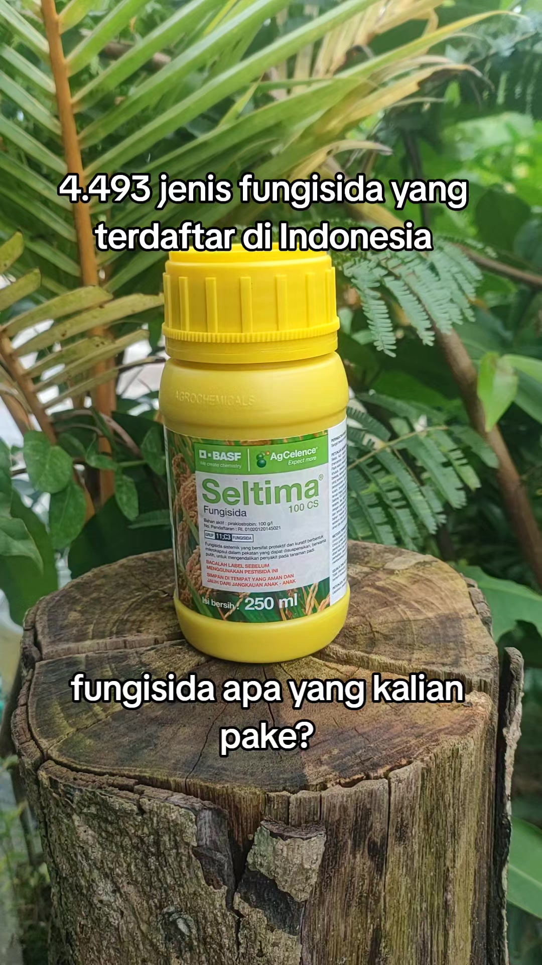 @ahmad mundir