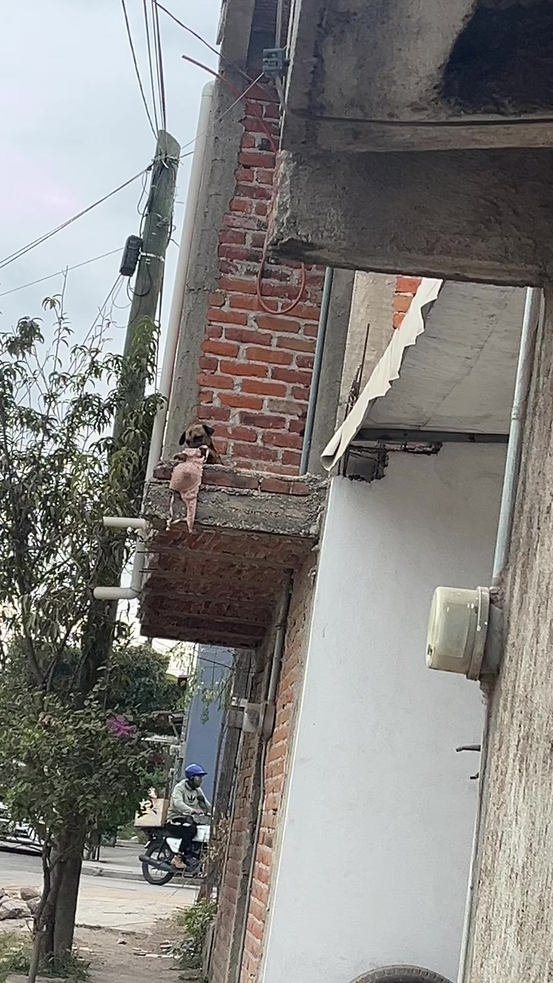 @melii👷🏻♀️🎀