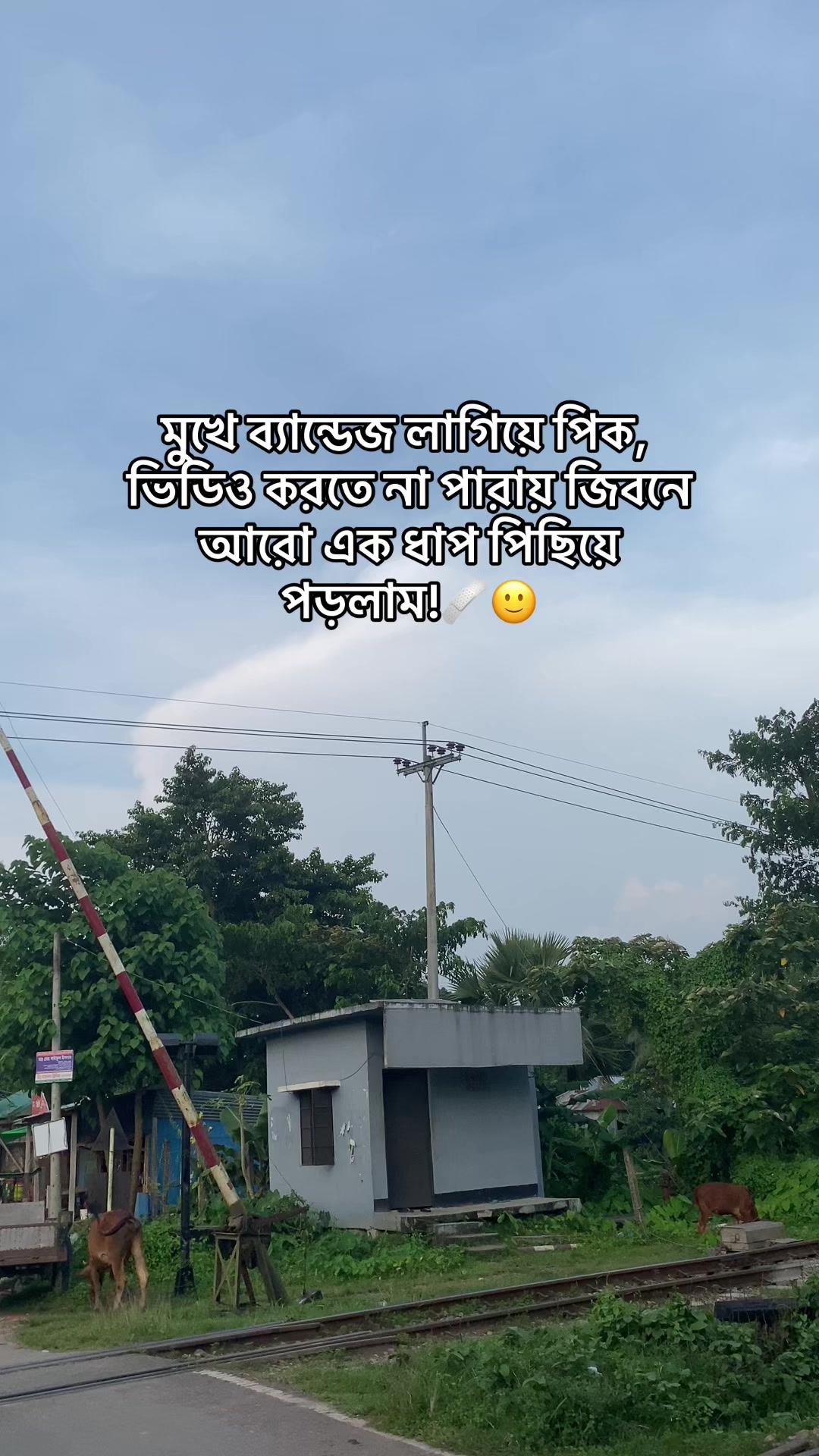 @🍷 Xhisan polash 🧃