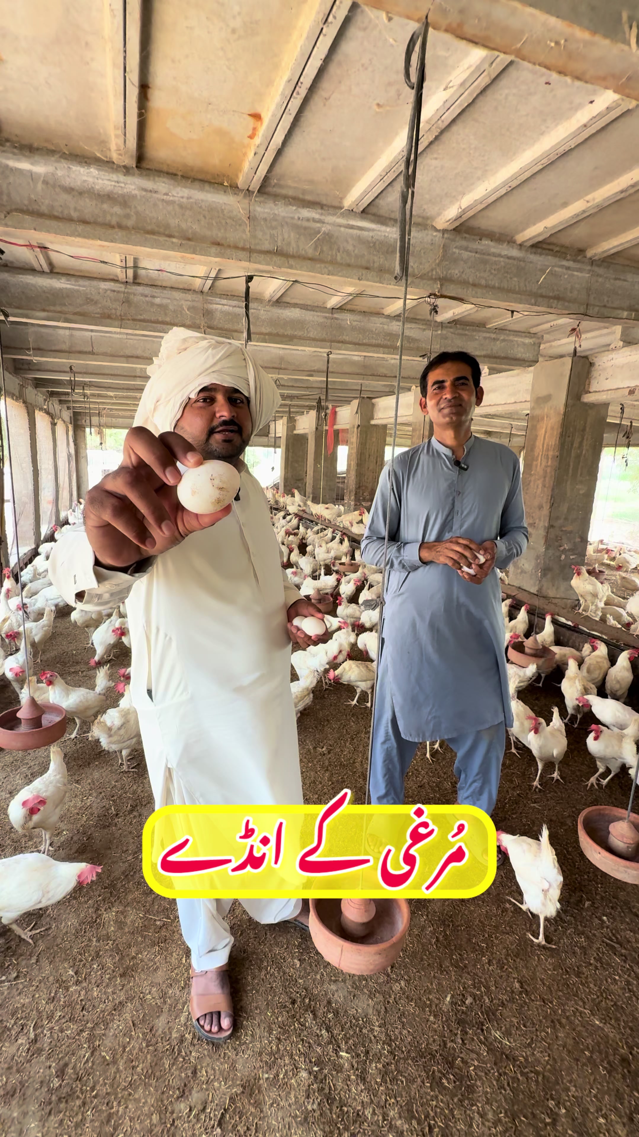 @Dr.Mohsin