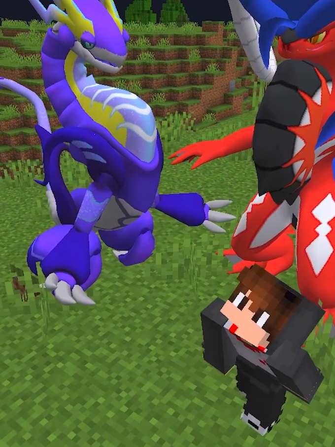 @NetPixelmon