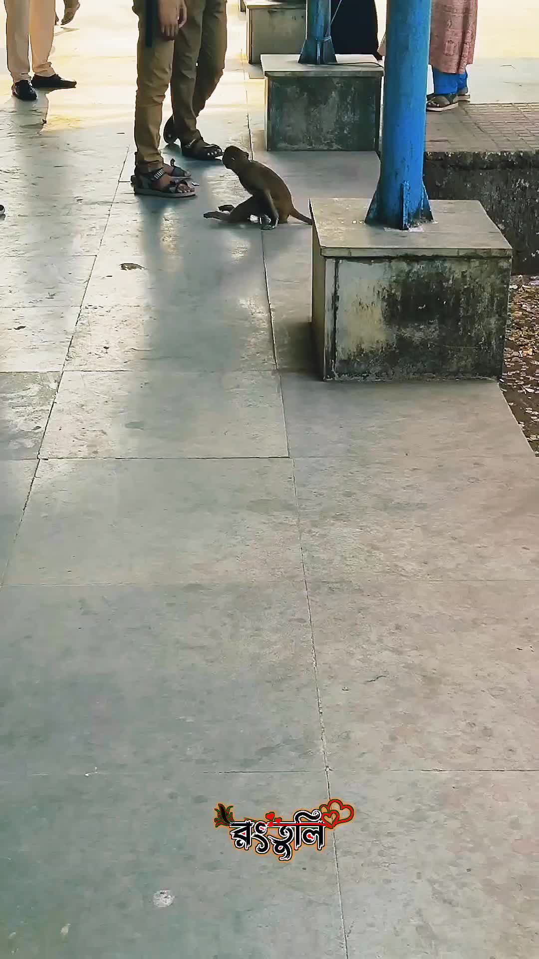 @রং তুলি