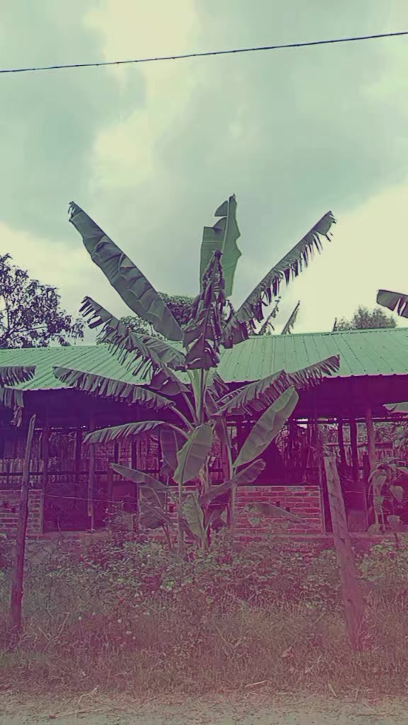 @muyar
