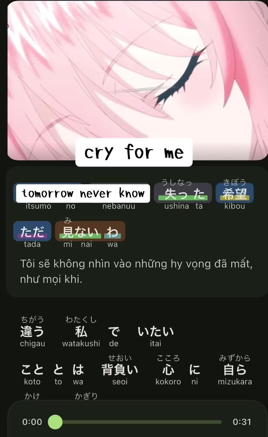 @Viên Chibi 🇯🇵🇻🇳