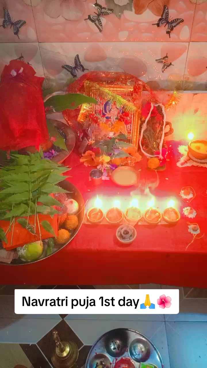 @SharbanSunitaRoyYadav861🤞❣