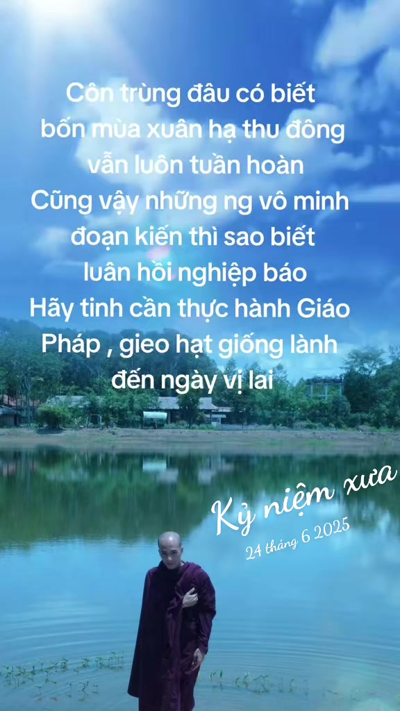 @TK Bảo &Acirc;n