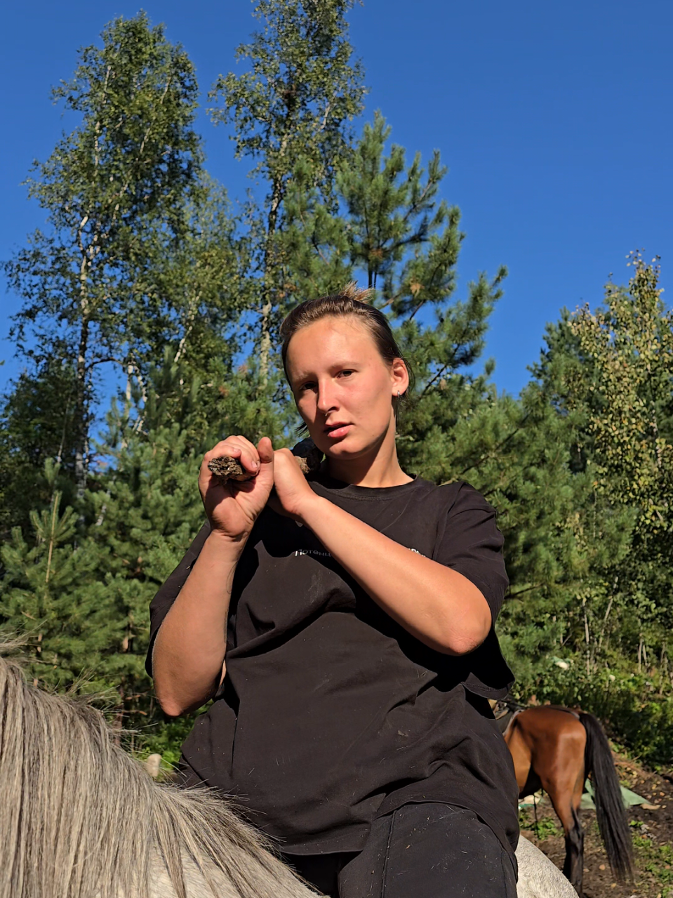 @tg: altaihorses
