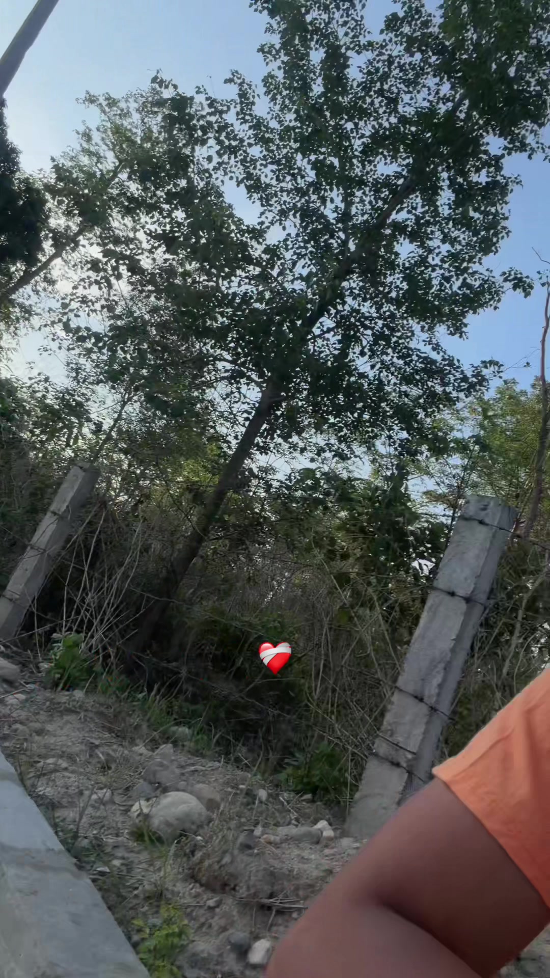 @Deadlee❤